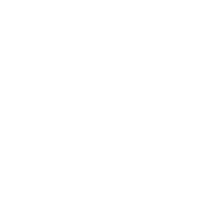 Denison Everywhere logo