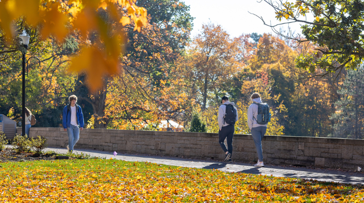 A photo of students on Chapel Walk in the fall.